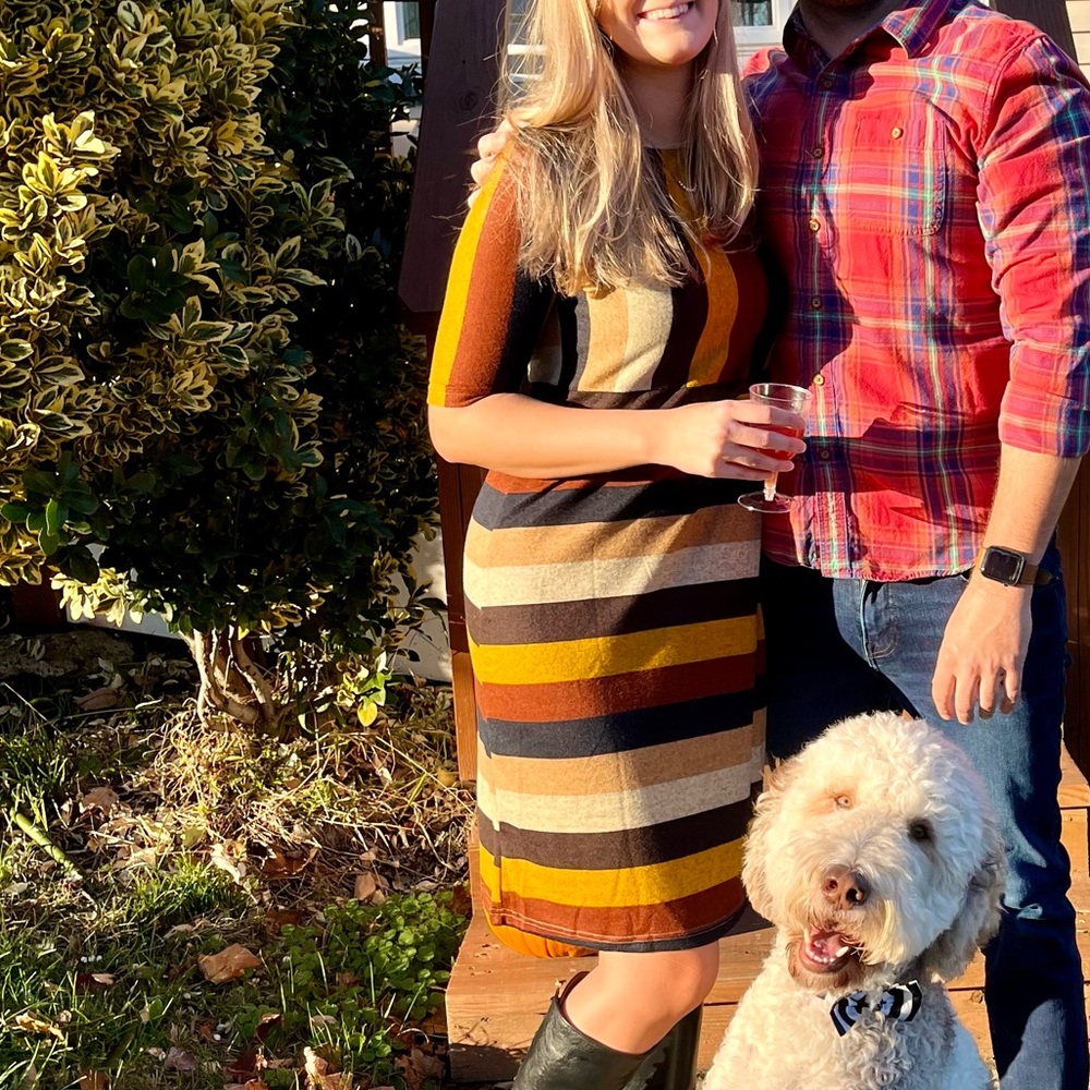 Cute Fall dress